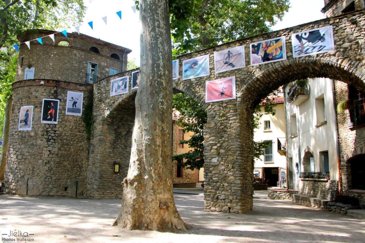 Les papillons en méditerranée Céret Exterior foto