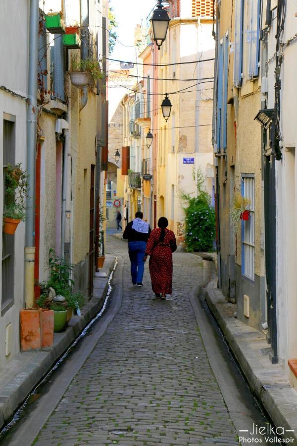 Les papillons en méditerranée Céret Exterior foto