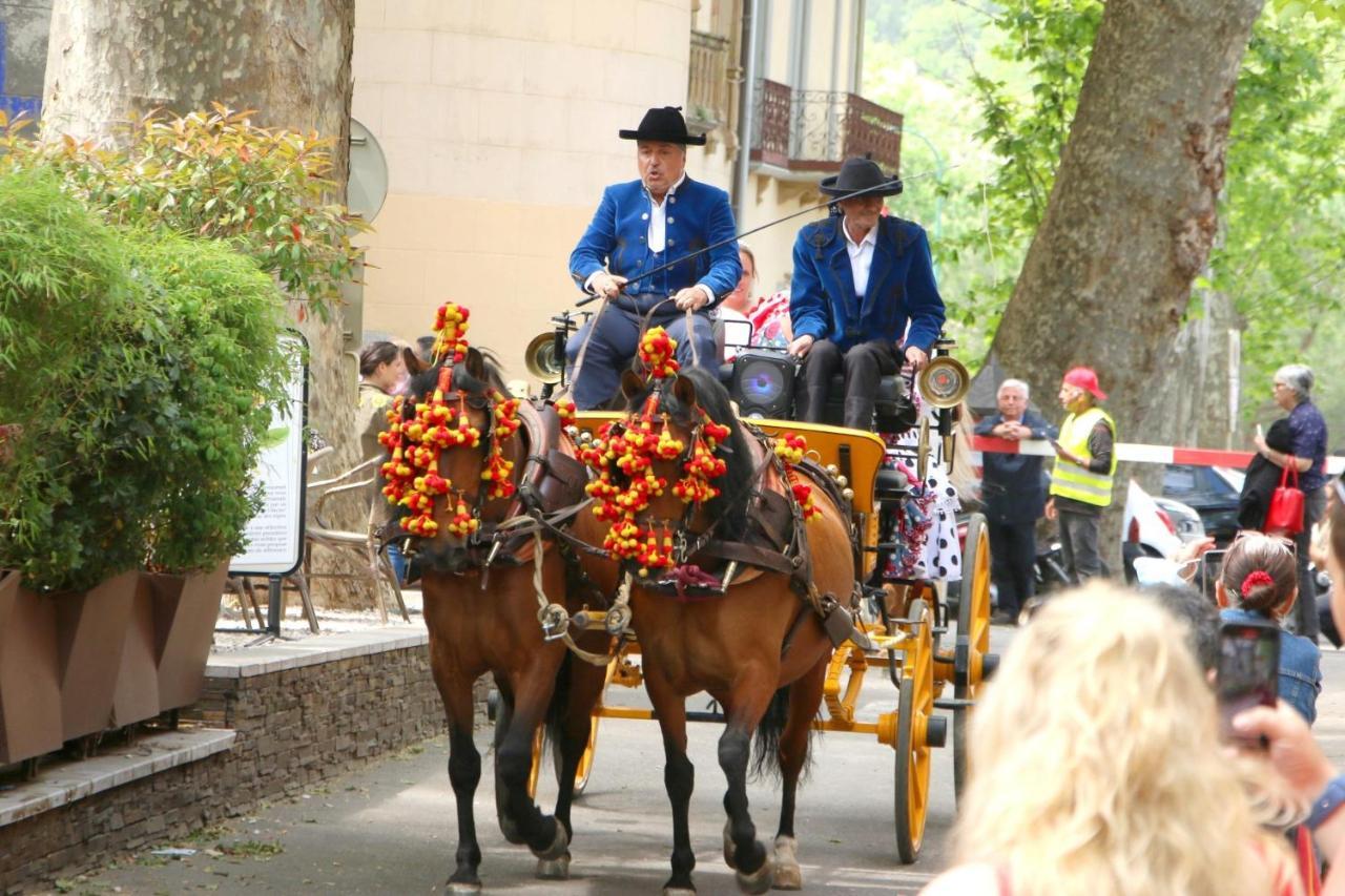 Les papillons en méditerranée Céret Exterior foto