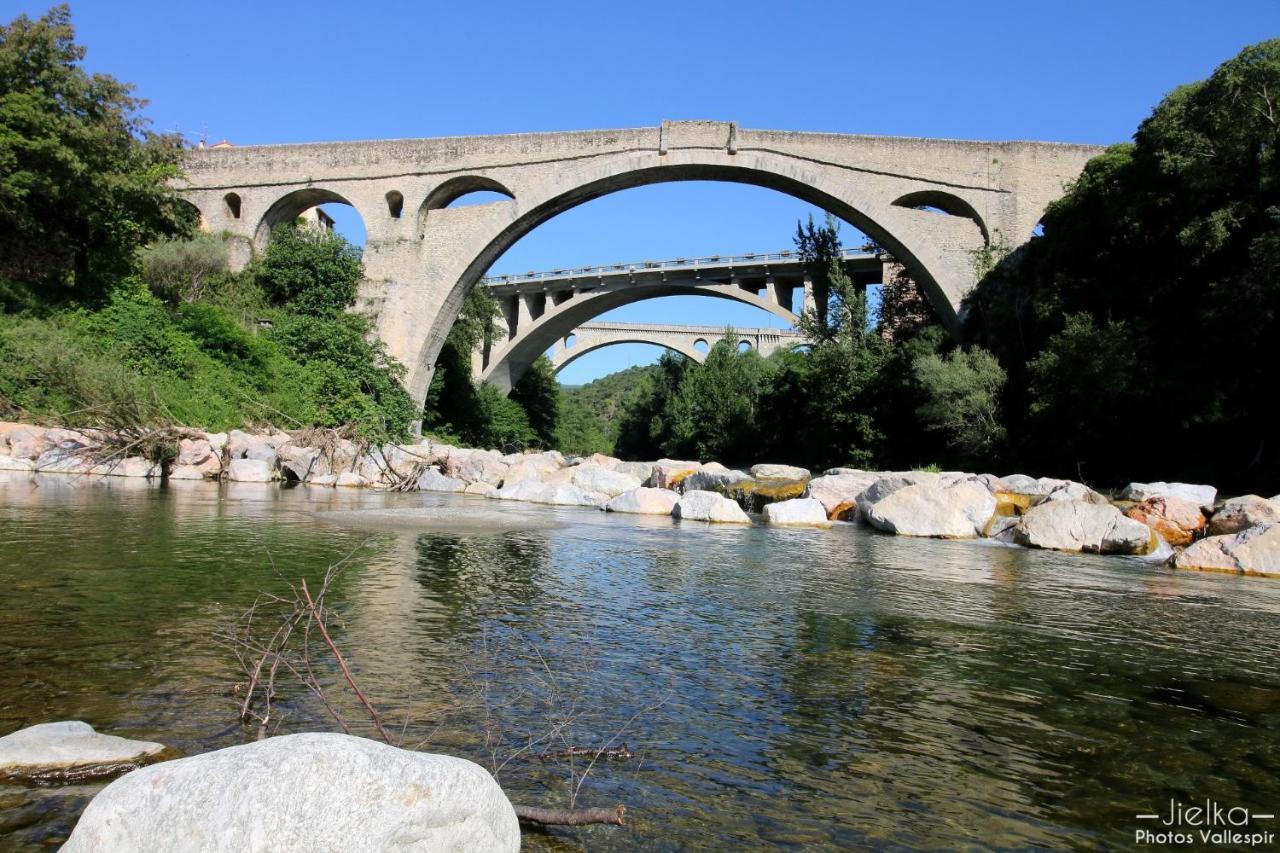 Les papillons en méditerranée Céret Exterior foto