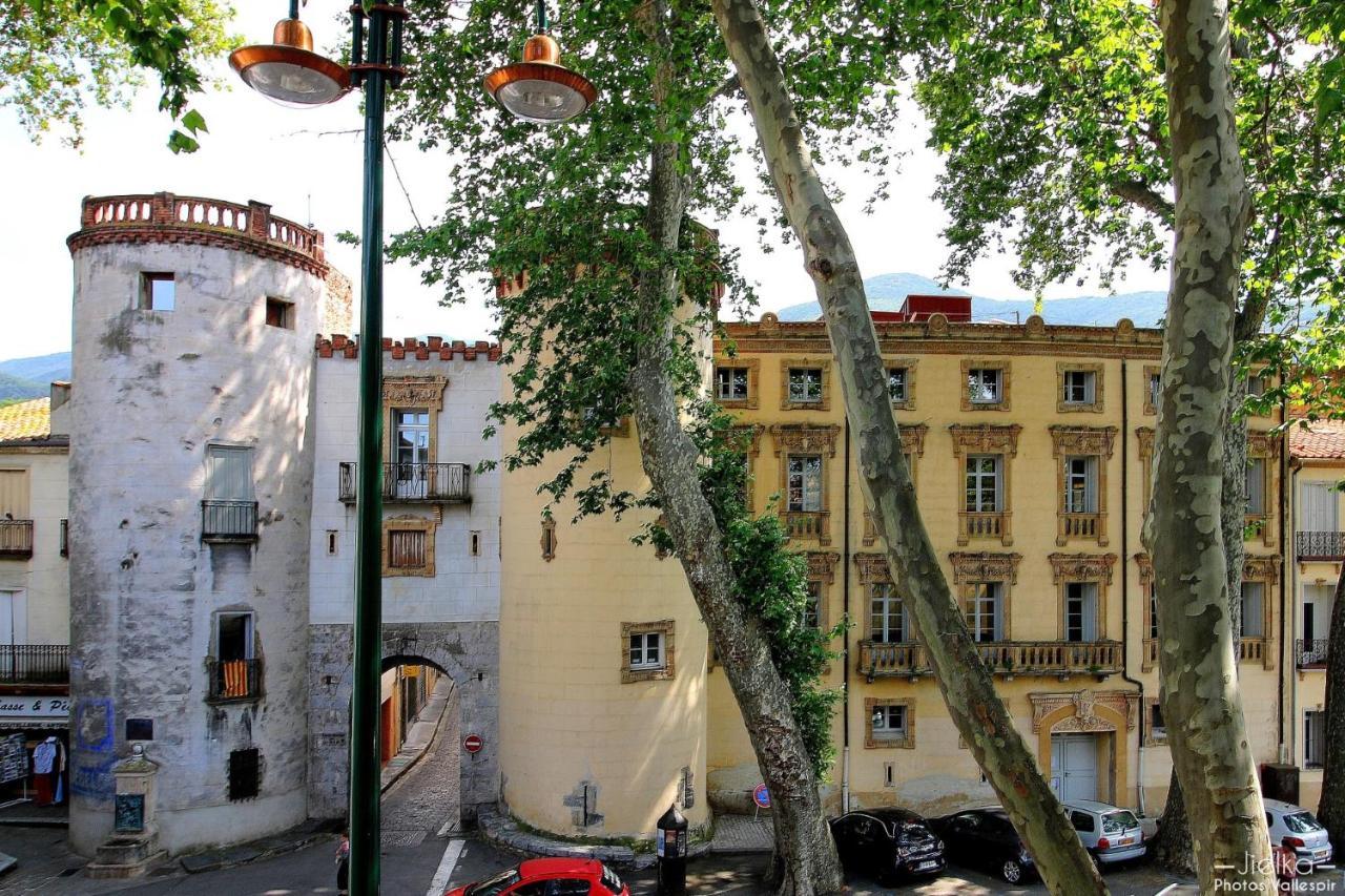 Les papillons en méditerranée Céret Exterior foto