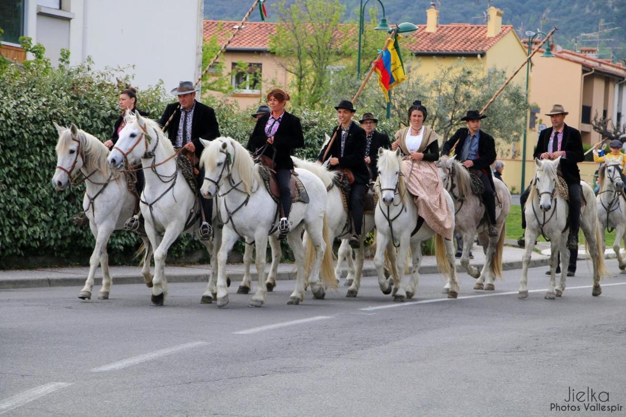 Les papillons en méditerranée Céret Exterior foto